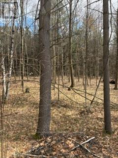 97 Greenly Road, Trent Hills, Ontario  K0K 3K0 - Photo 9 - X12899124