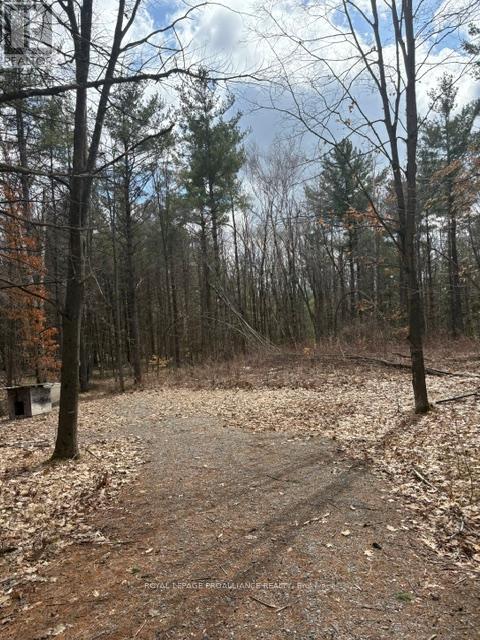 97 Greenly Road, Trent Hills, Ontario  K0K 3K0 - Photo 6 - X12899124