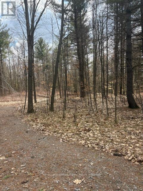 97 Greenly Road, Trent Hills, Ontario  K0K 3K0 - Photo 4 - X12899124