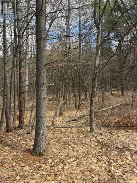 97 Greenly Road, Trent Hills, Ontario  K0K 3K0 - Photo 7 - X12899124