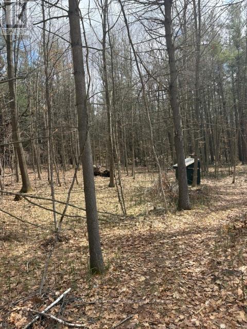 97 Greenly Road, Trent Hills, Ontario  K0K 3K0 - Photo 8 - X12899124