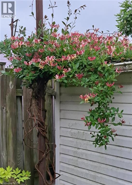 63 Sunrise Drive, Hamilton, Ontario  L8K 4C4 - Photo 29 - 40814434