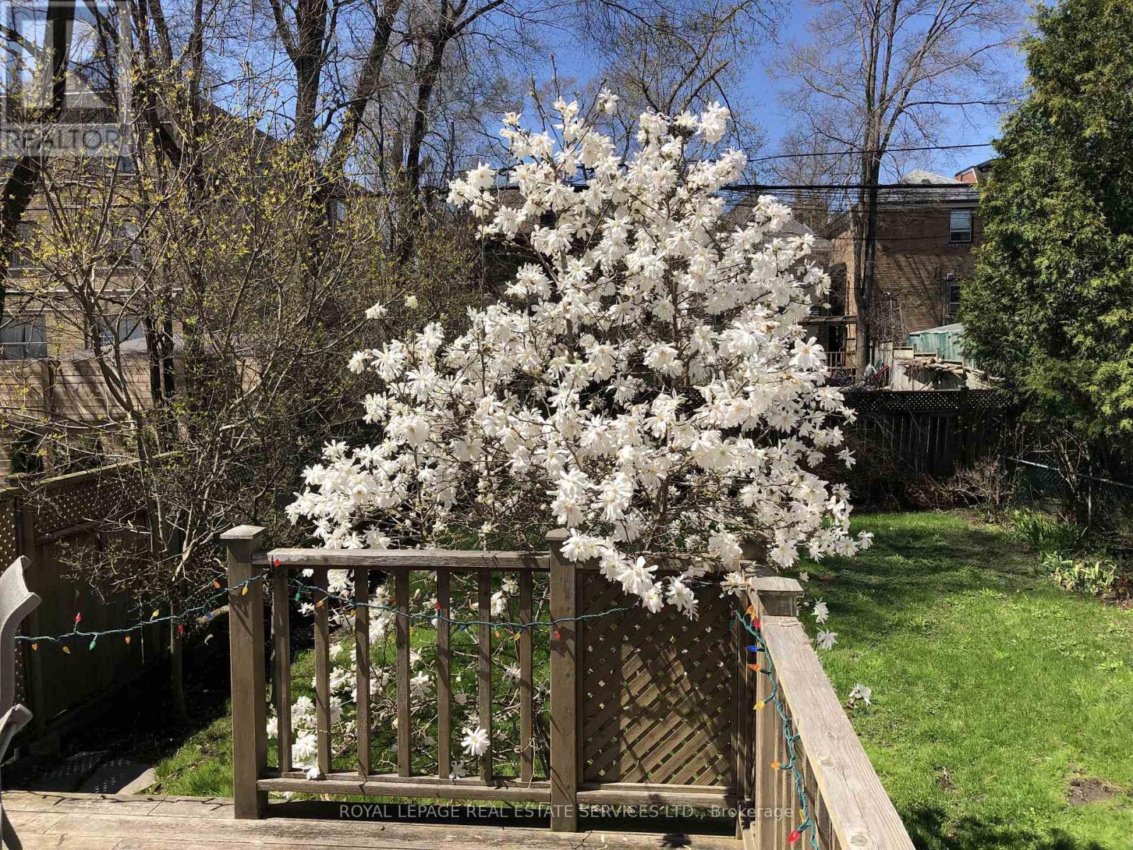 326 Indian Grove, Toronto, Ontario  M6P 2H5 - Photo 39 - W12965582