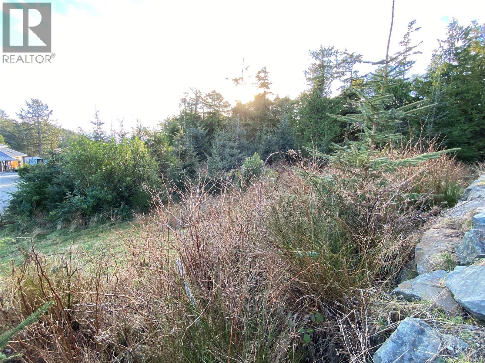 342 Pass Of Melfort Pl, Ucluelet, British Columbia  V0R 3A0 - Photo 9 - 1030701