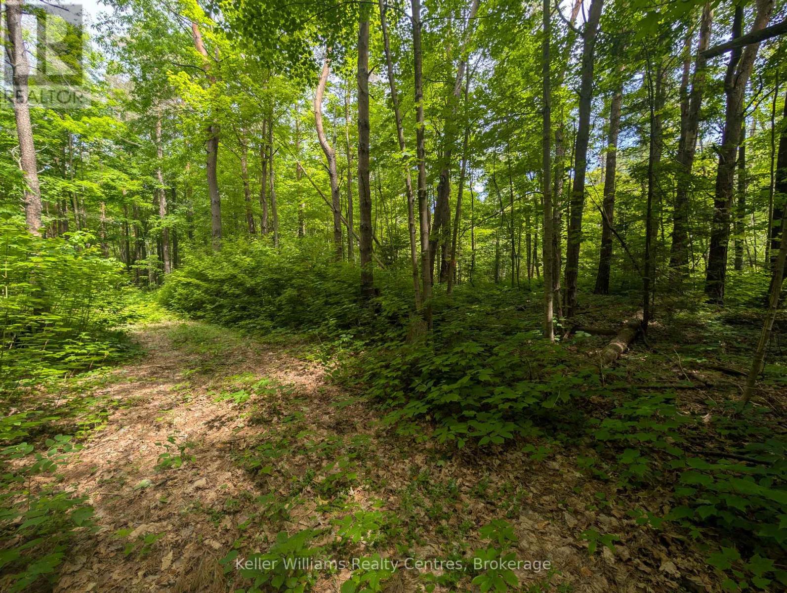 590-608 Huron Road, South Bruce Peninsula, Ontario  N0H 2T0 - Photo 14 - X12965816