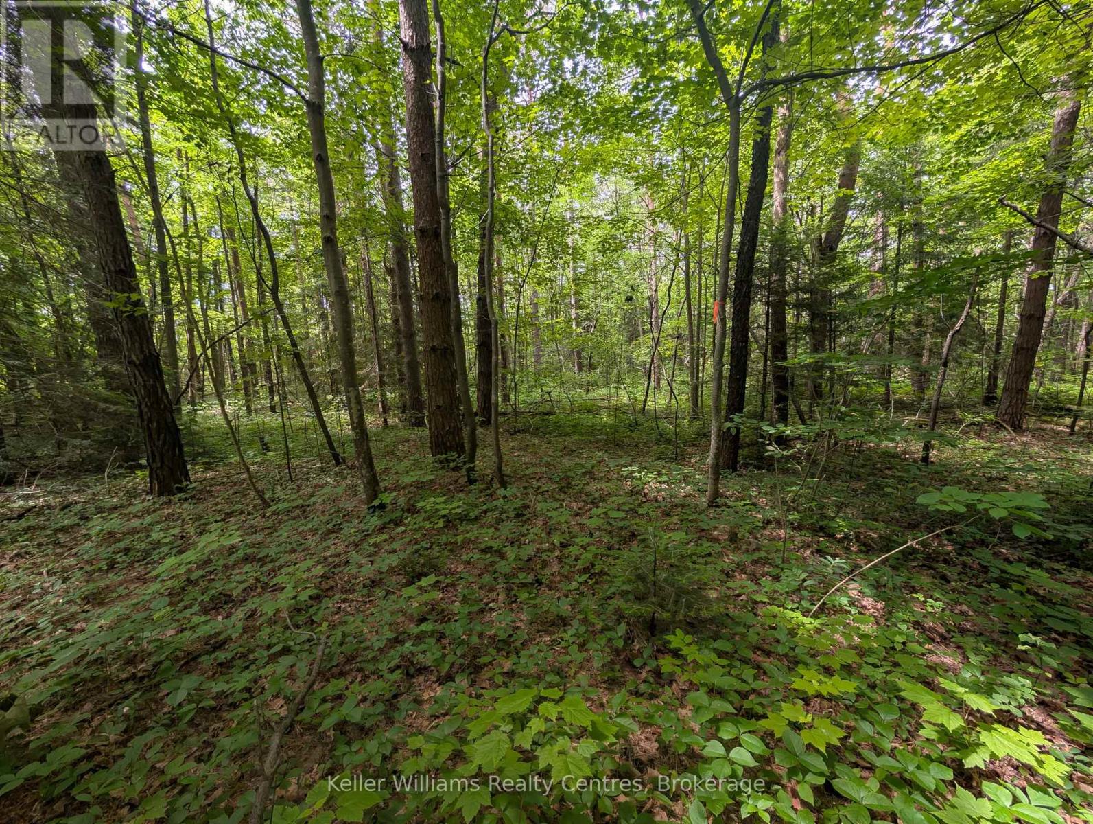 590-608 Huron Road, South Bruce Peninsula, Ontario  N0H 2T0 - Photo 16 - X12965816