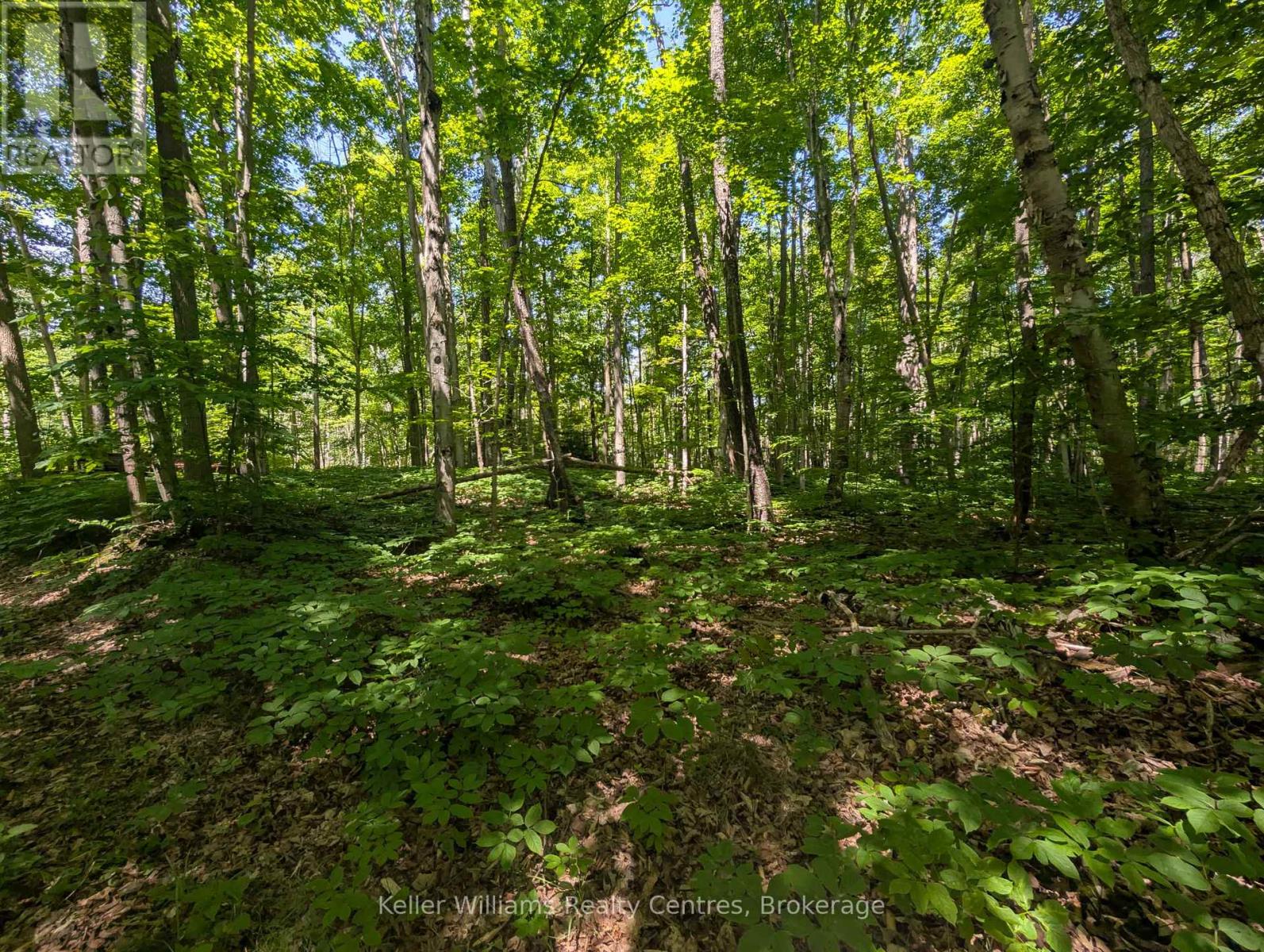 590-608 Huron Road, South Bruce Peninsula, Ontario  N0H 2T0 - Photo 17 - X12965816