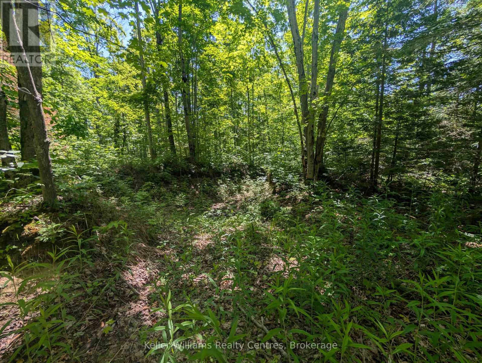 590-608 Huron Road, South Bruce Peninsula, Ontario  N0H 2T0 - Photo 18 - X12965816