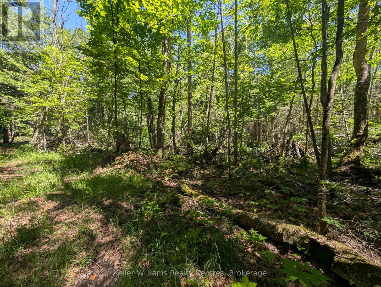 590-608 Huron Road, South Bruce Peninsula, Ontario  N0H 2T0 - Photo 20 - X12965816