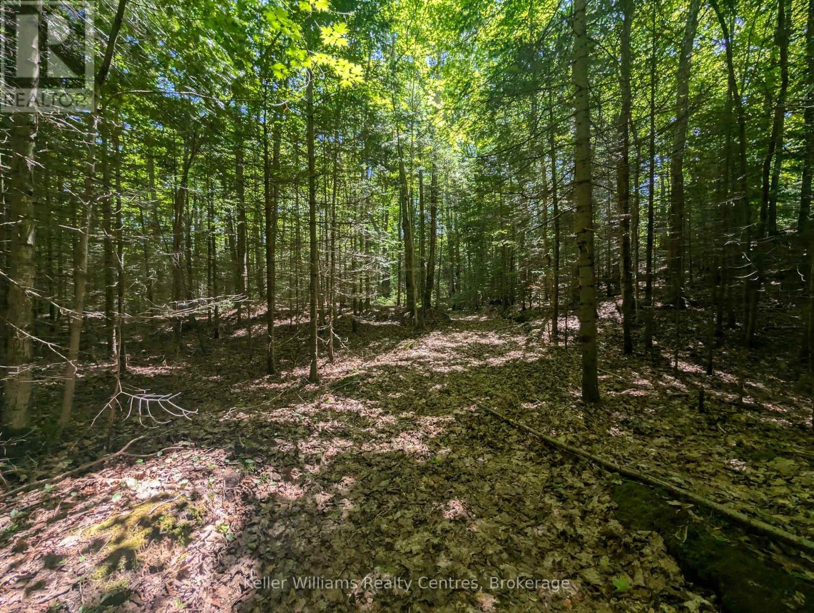 590-608 Huron Road, South Bruce Peninsula, Ontario  N0H 2T0 - Photo 21 - X12965816