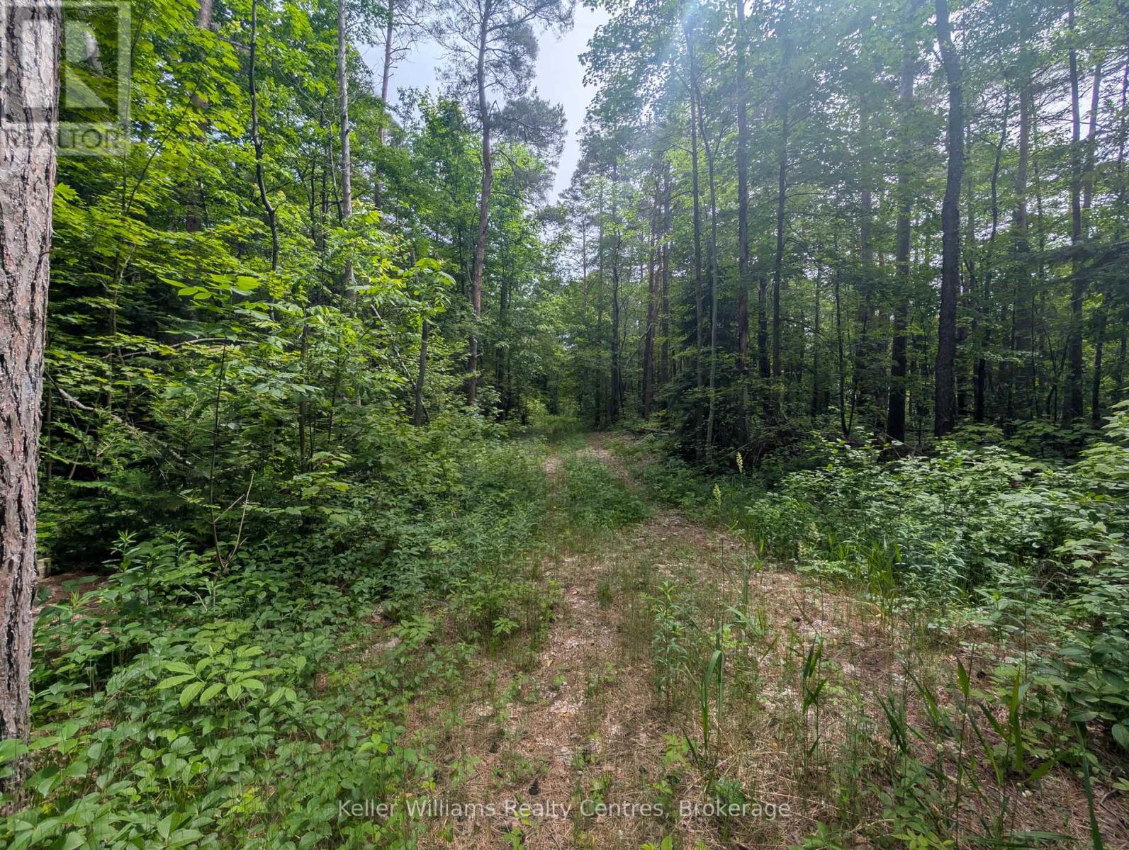 590-608 Huron Road, South Bruce Peninsula, Ontario  N0H 2T0 - Photo 22 - X12965816