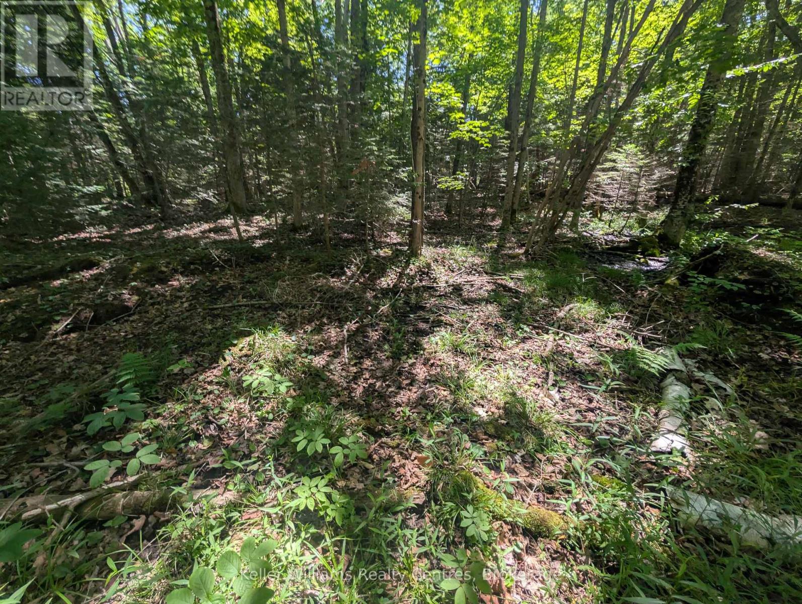 590-608 Huron Road, South Bruce Peninsula, Ontario  N0H 2T0 - Photo 26 - X12965816