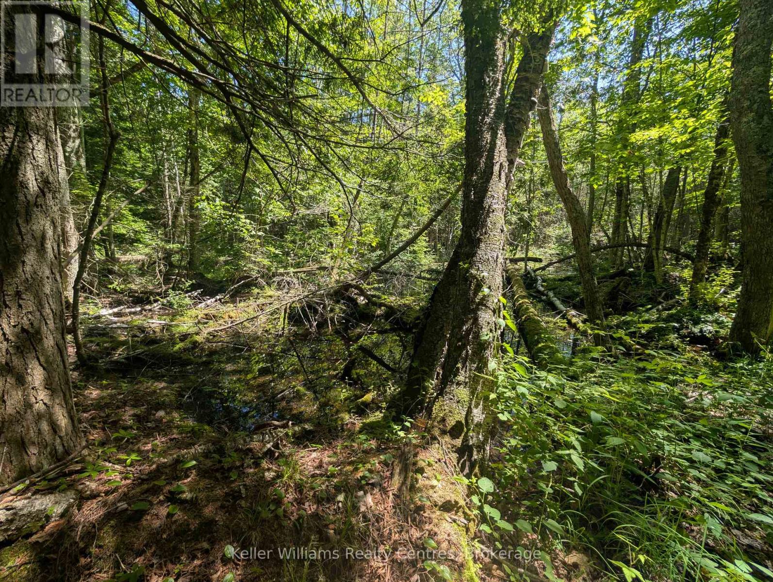 590-608 Huron Road, South Bruce Peninsula, Ontario  N0H 2T0 - Photo 28 - X12965816