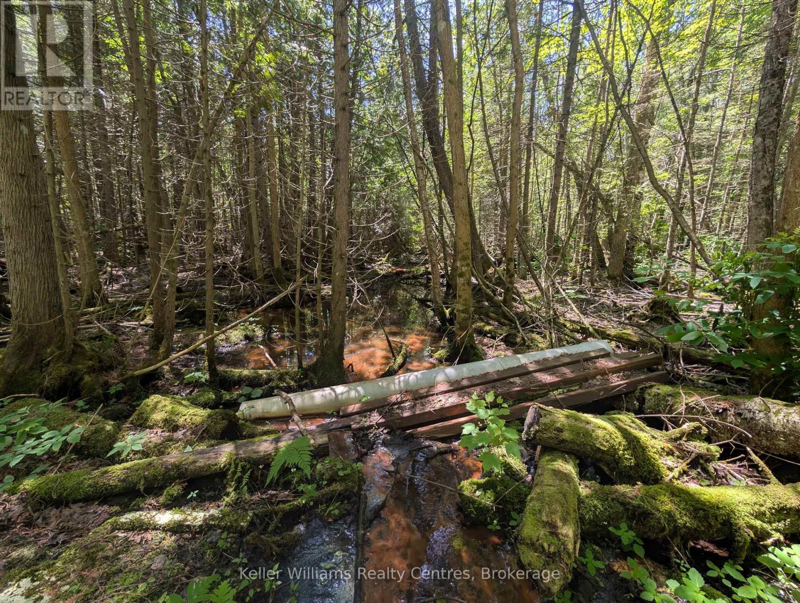 590-608 Huron Road, South Bruce Peninsula, Ontario  N0H 2T0 - Photo 29 - X12965816