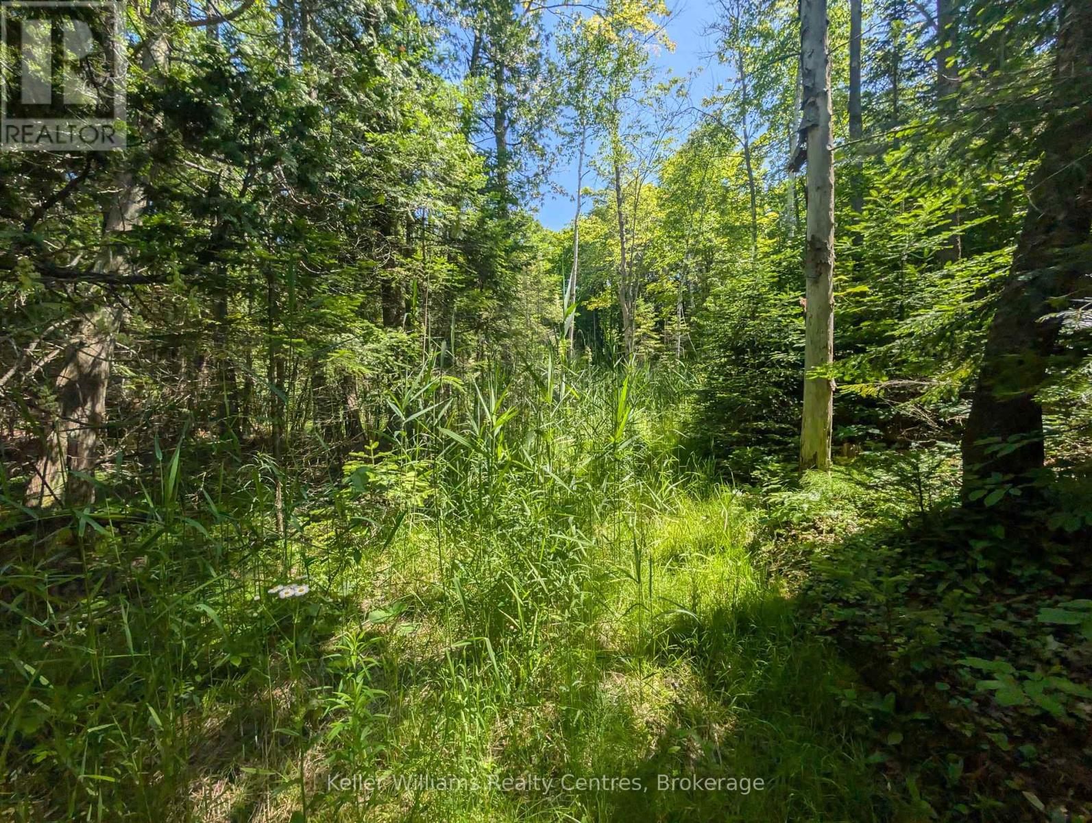 590-608 Huron Road, South Bruce Peninsula, Ontario  N0H 2T0 - Photo 30 - X12965816