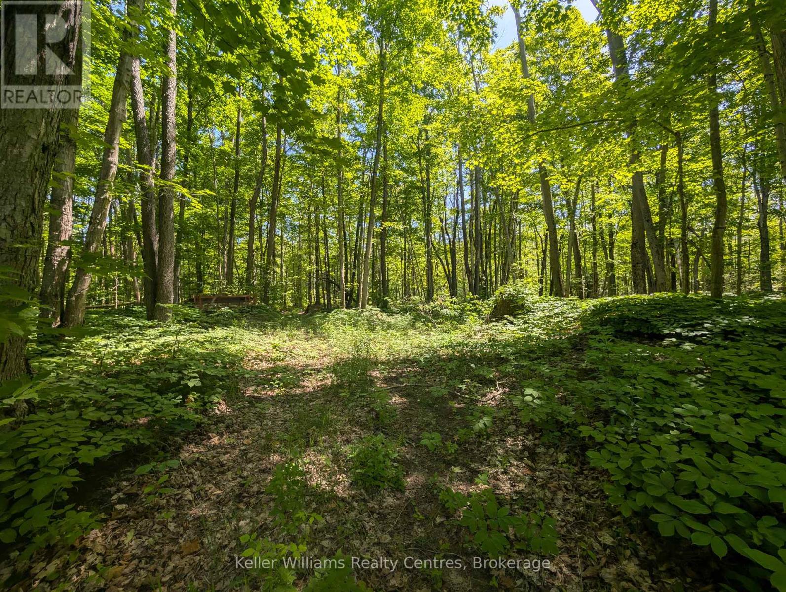 590-608 Huron Road, South Bruce Peninsula, Ontario  N0H 2T0 - Photo 33 - X12965816