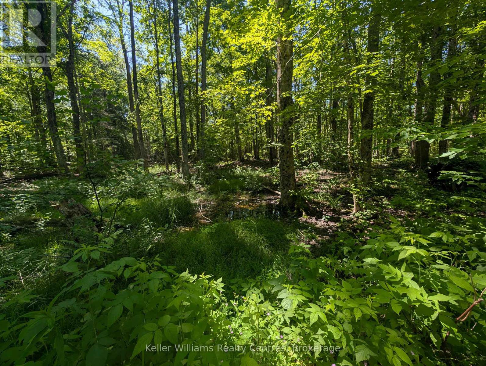 590-608 Huron Road, South Bruce Peninsula, Ontario  N0H 2T0 - Photo 35 - X12965816