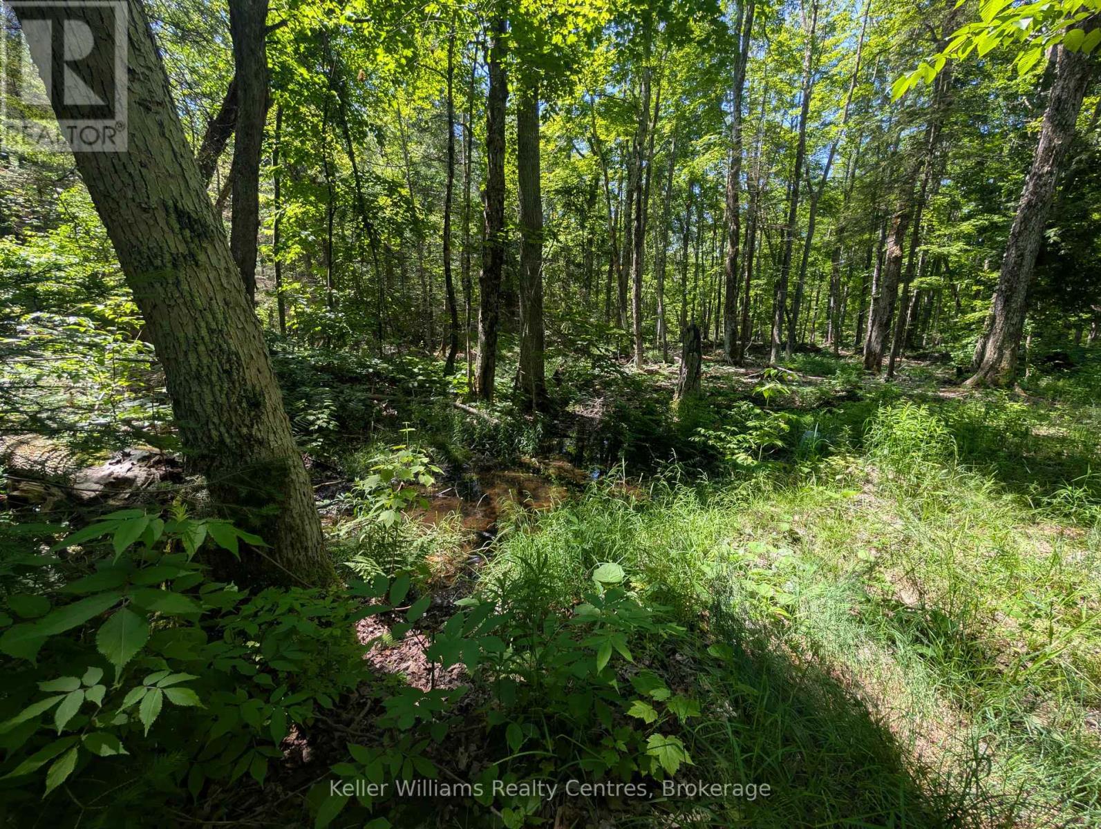 590-608 Huron Road, South Bruce Peninsula, Ontario  N0H 2T0 - Photo 36 - X12965816
