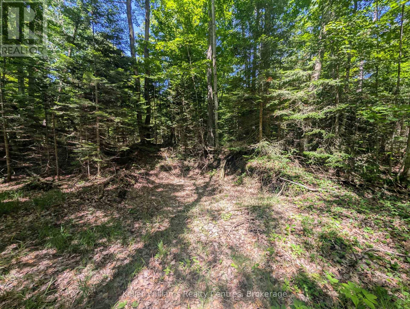 590-608 Huron Road, South Bruce Peninsula, Ontario  N0H 2T0 - Photo 37 - X12965816