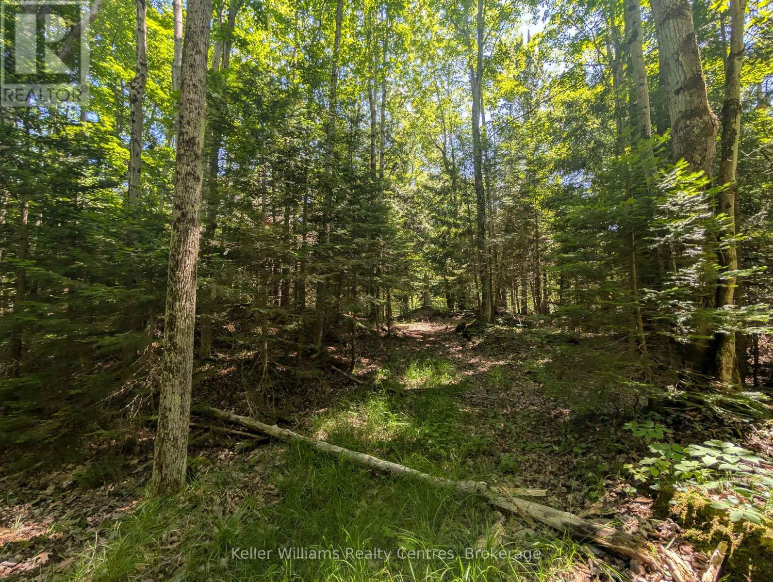 590-608 Huron Road, South Bruce Peninsula, Ontario  N0H 2T0 - Photo 38 - X12965816