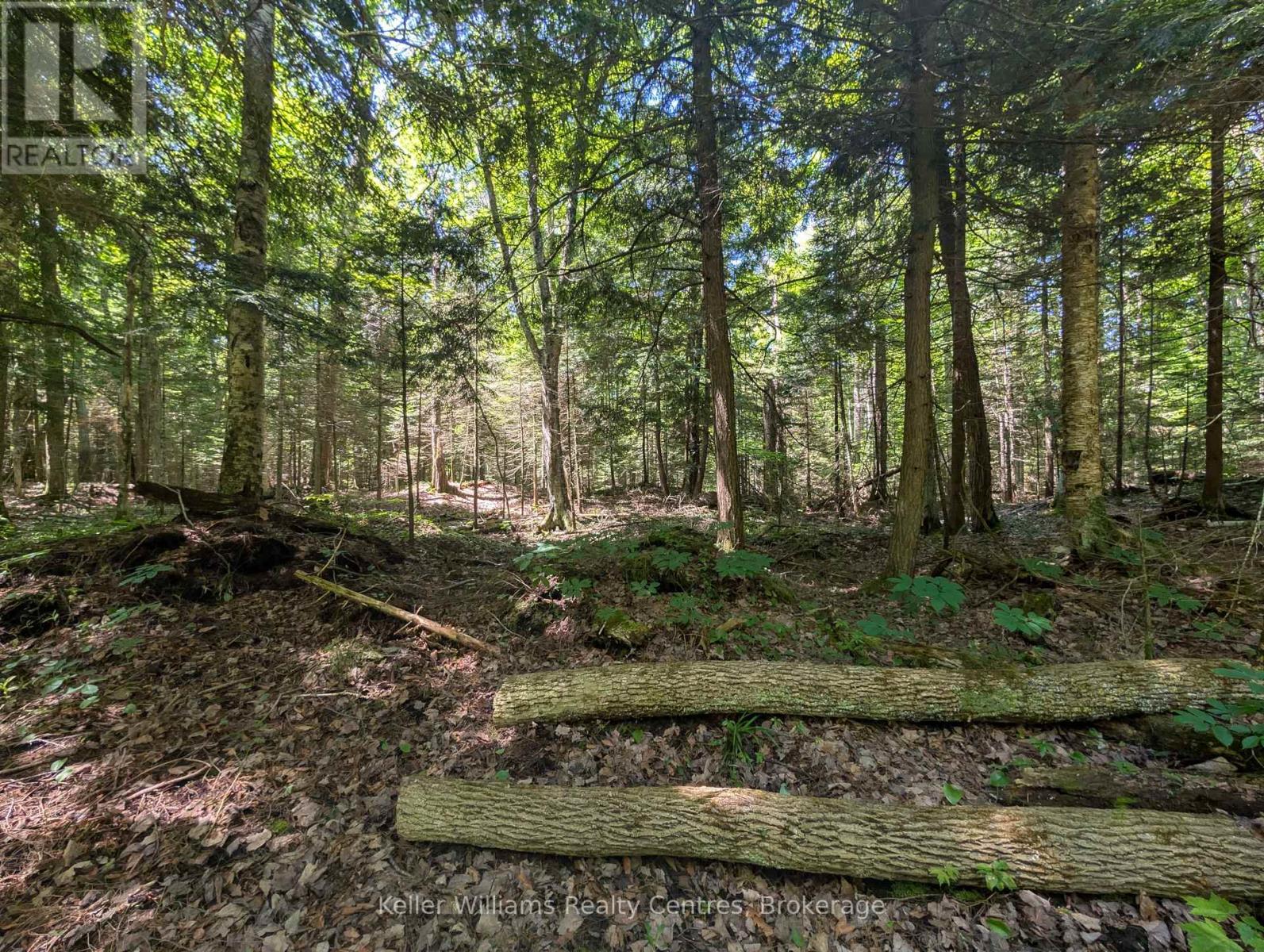 590-608 Huron Road, South Bruce Peninsula, Ontario  N0H 2T0 - Photo 39 - X12965816