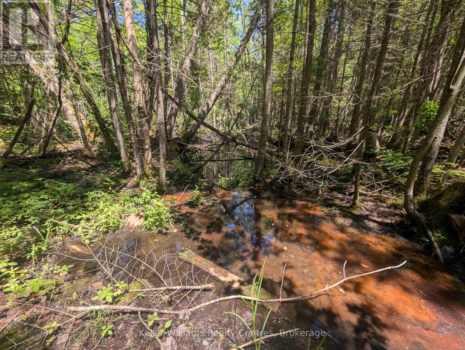 590-608 Huron Road, South Bruce Peninsula, Ontario  N0H 2T0 - Photo 40 - X12965816