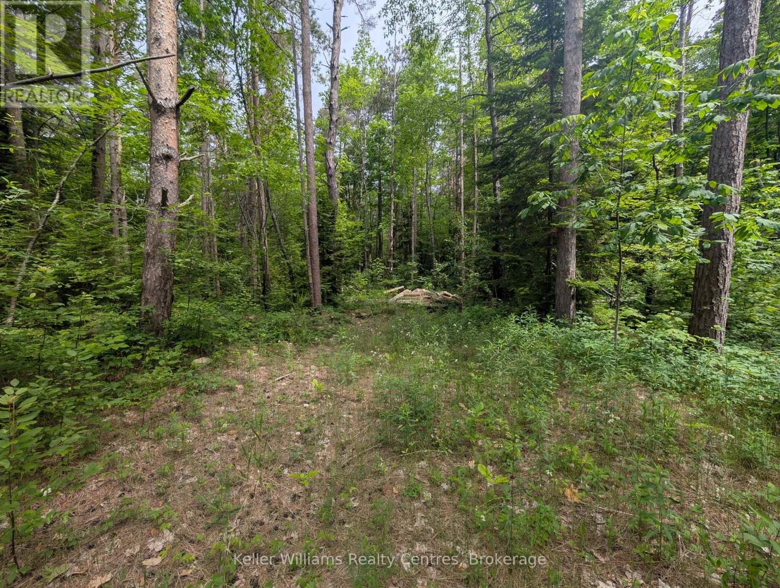 590-608 Huron Road, South Bruce Peninsula, Ontario  N0H 2T0 - Photo 42 - X12965816