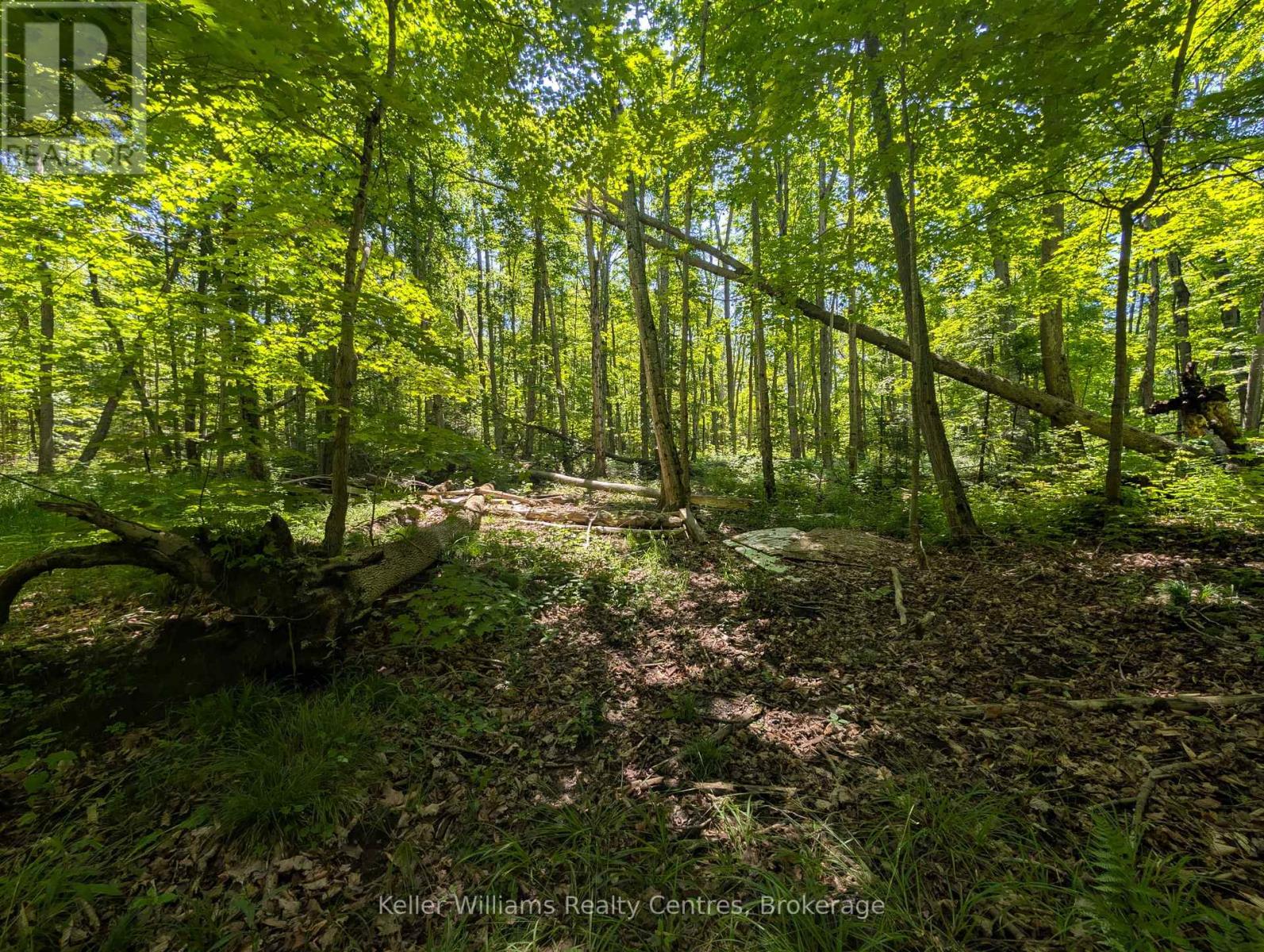 590-608 Huron Road, South Bruce Peninsula, Ontario  N0H 2T0 - Photo 44 - X12965816