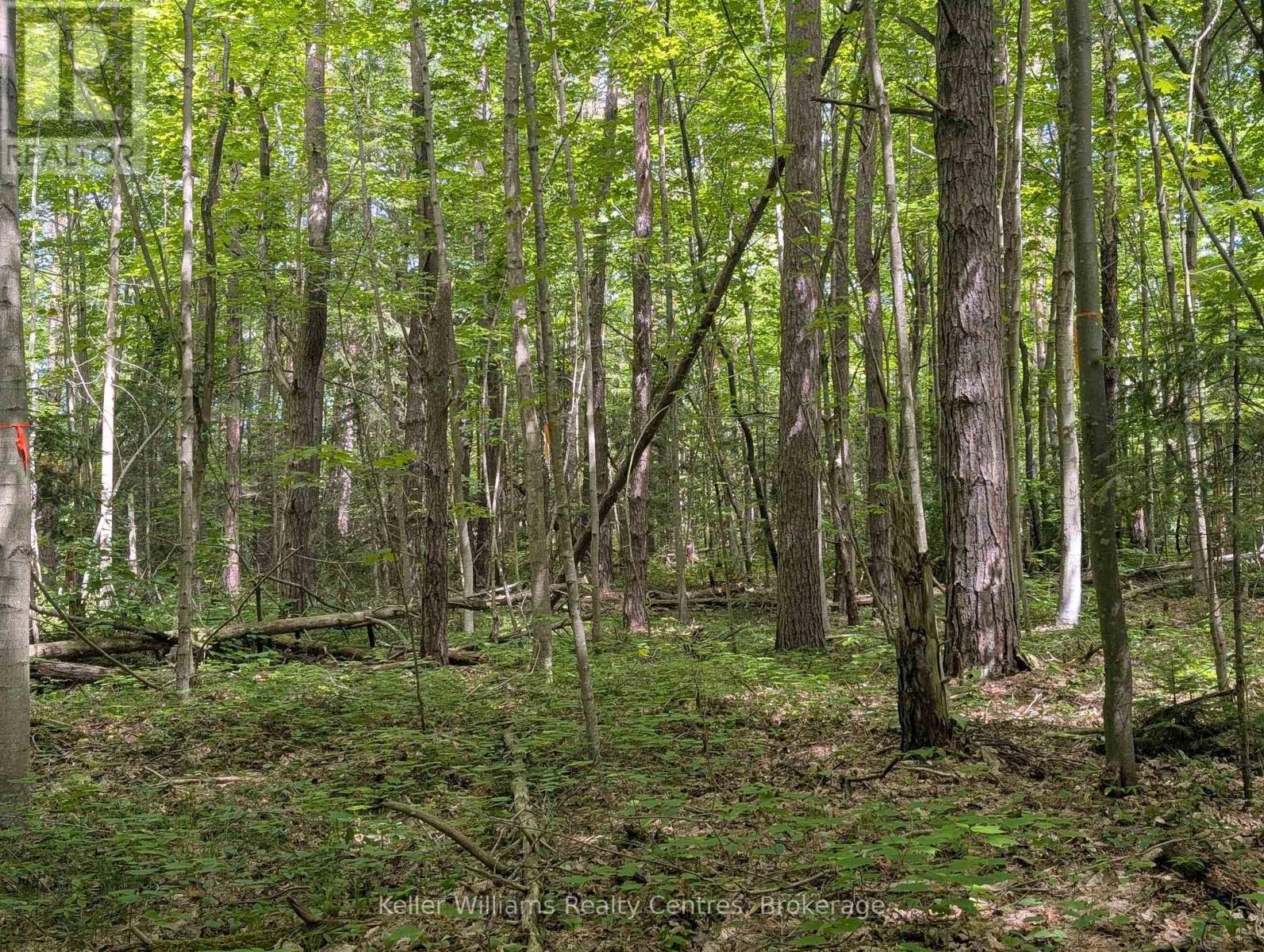 590-608 Huron Road, South Bruce Peninsula, Ontario  N0H 2T0 - Photo 45 - X12965816