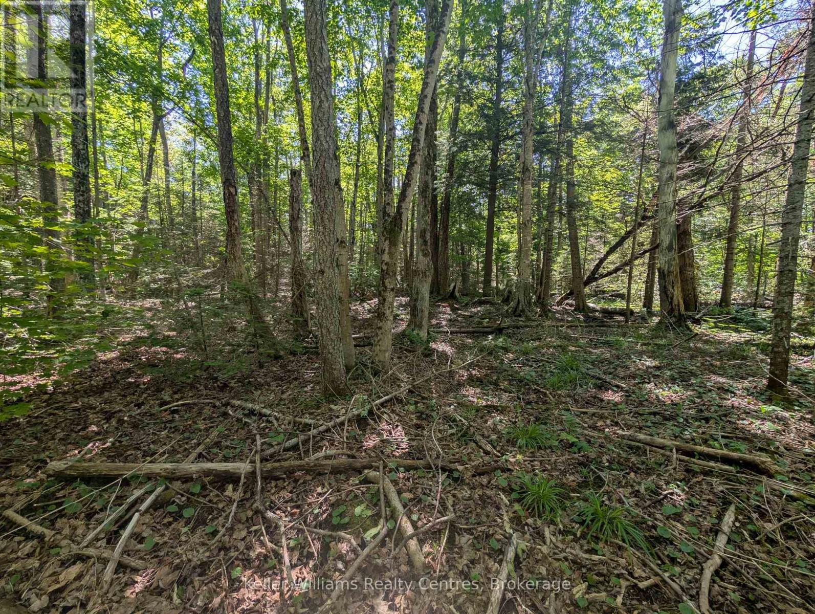 590-608 Huron Road, South Bruce Peninsula, Ontario  N0H 2T0 - Photo 46 - X12965816