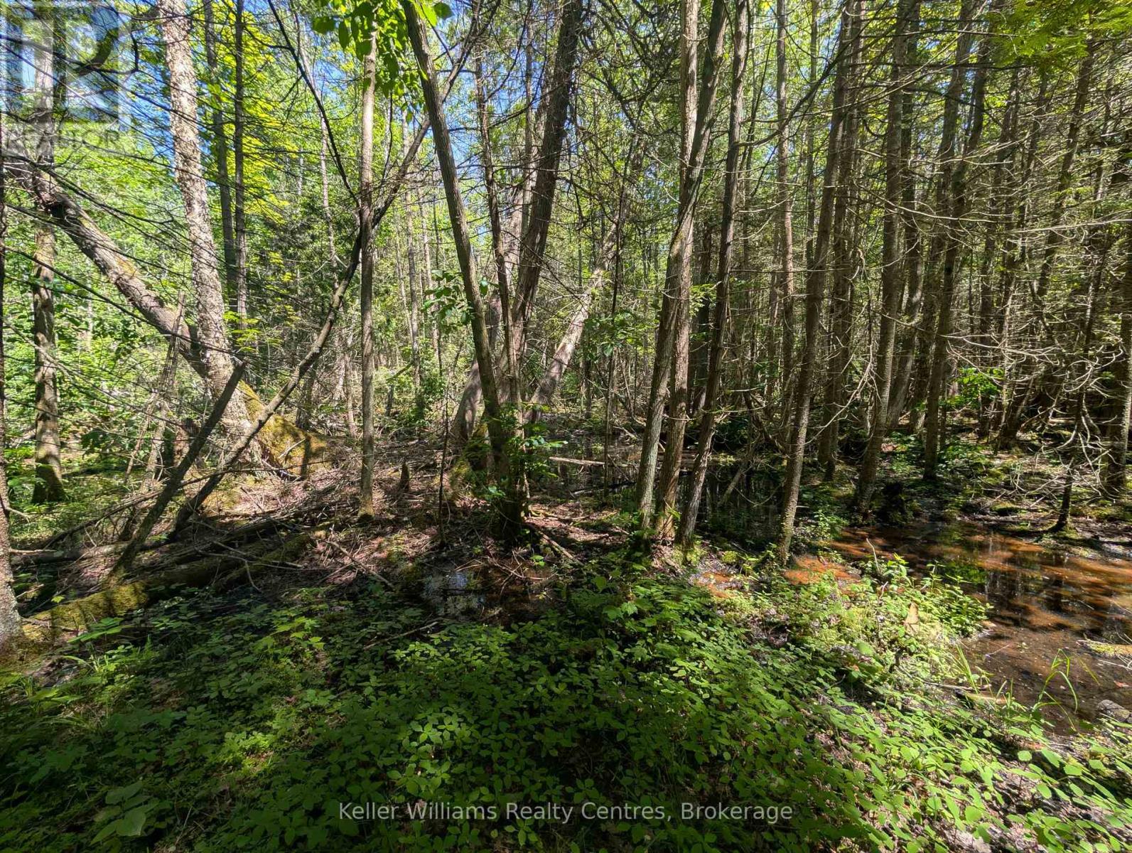 590-608 Huron Road, South Bruce Peninsula, Ontario  N0H 2T0 - Photo 47 - X12965816