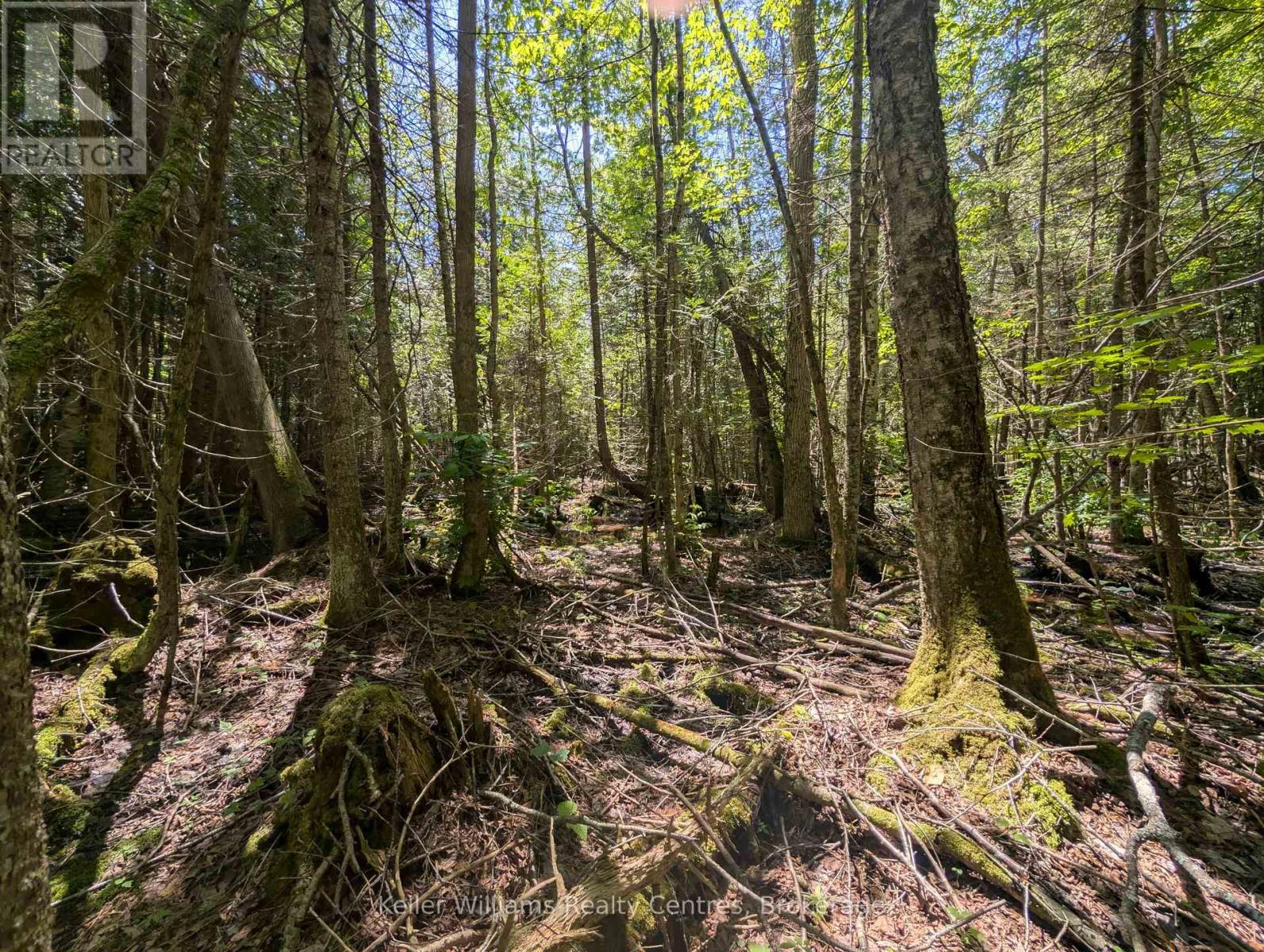 590-608 Huron Road, South Bruce Peninsula, Ontario  N0H 2T0 - Photo 48 - X12965816