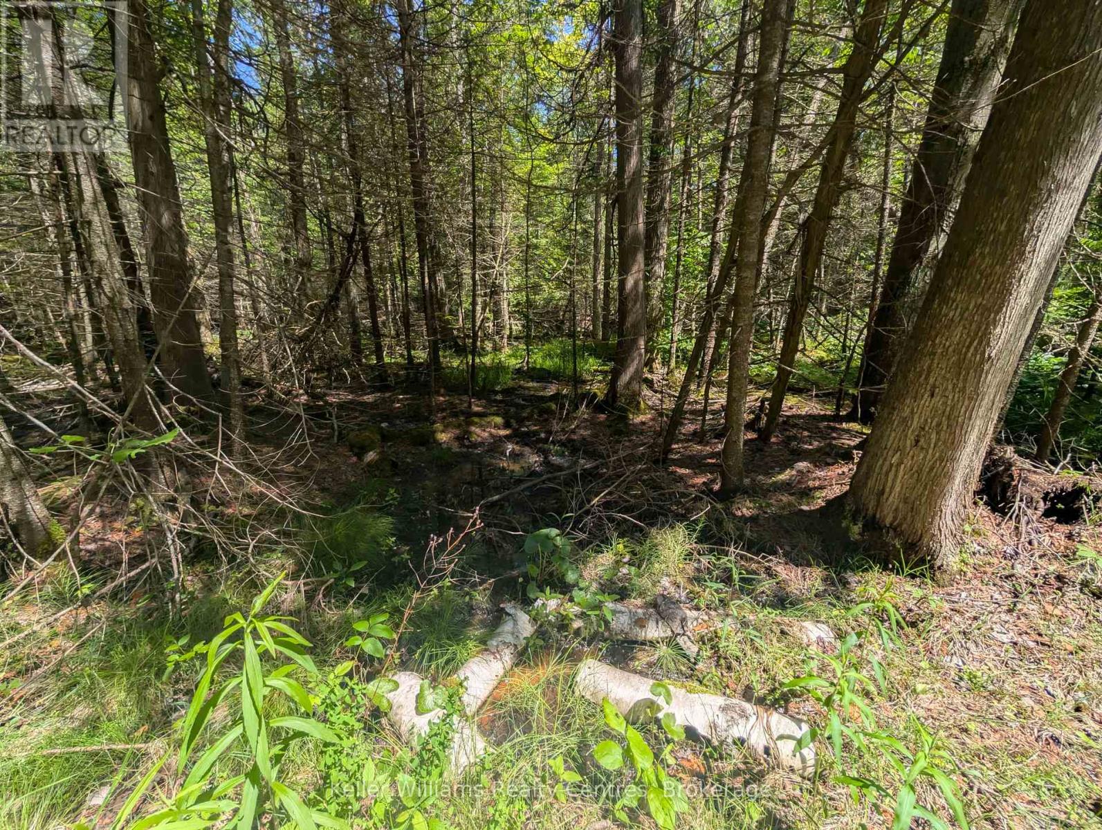 590-608 Huron Road, South Bruce Peninsula, Ontario  N0H 2T0 - Photo 49 - X12965816