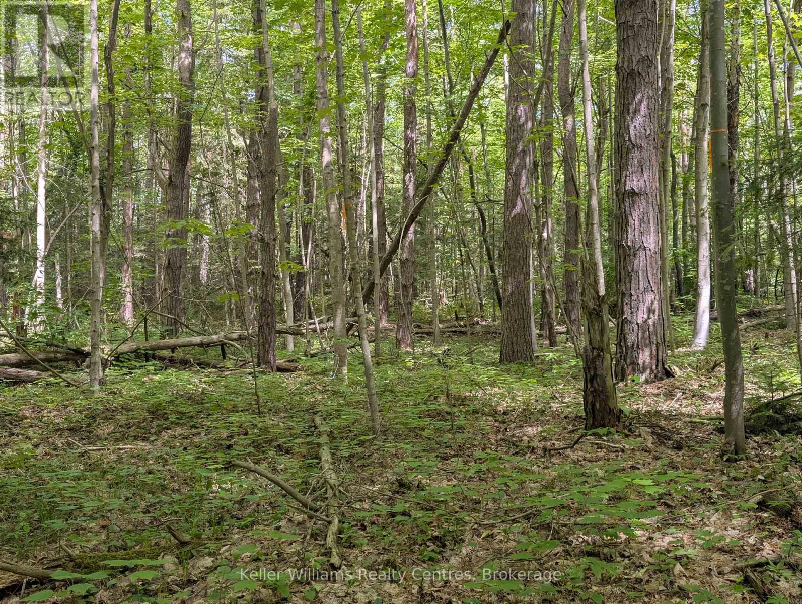 590-608 Huron Road, South Bruce Peninsula, Ontario  N0H 2T0 - Photo 6 - X12965816