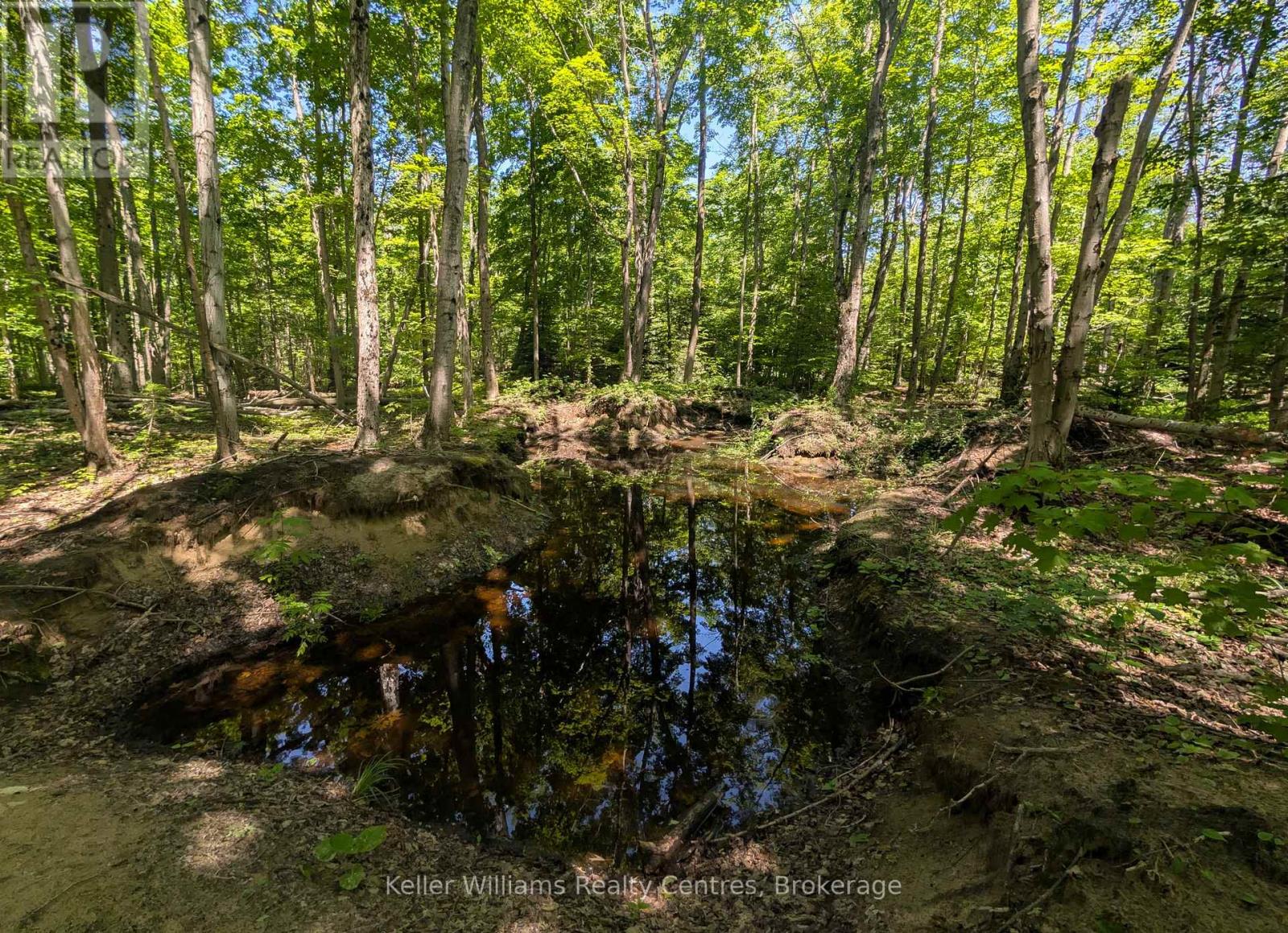 590-608 Huron Road, South Bruce Peninsula, Ontario  N0H 2T0 - Photo 7 - X12965816