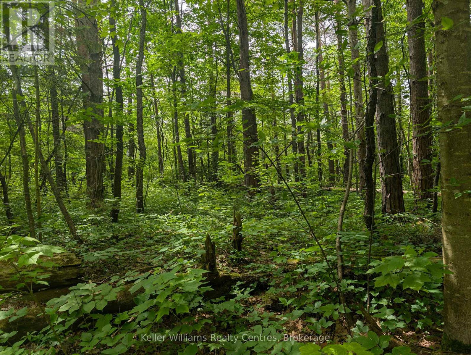 590-608 Huron Road, South Bruce Peninsula, Ontario  N0H 2T0 - Photo 8 - X12965816