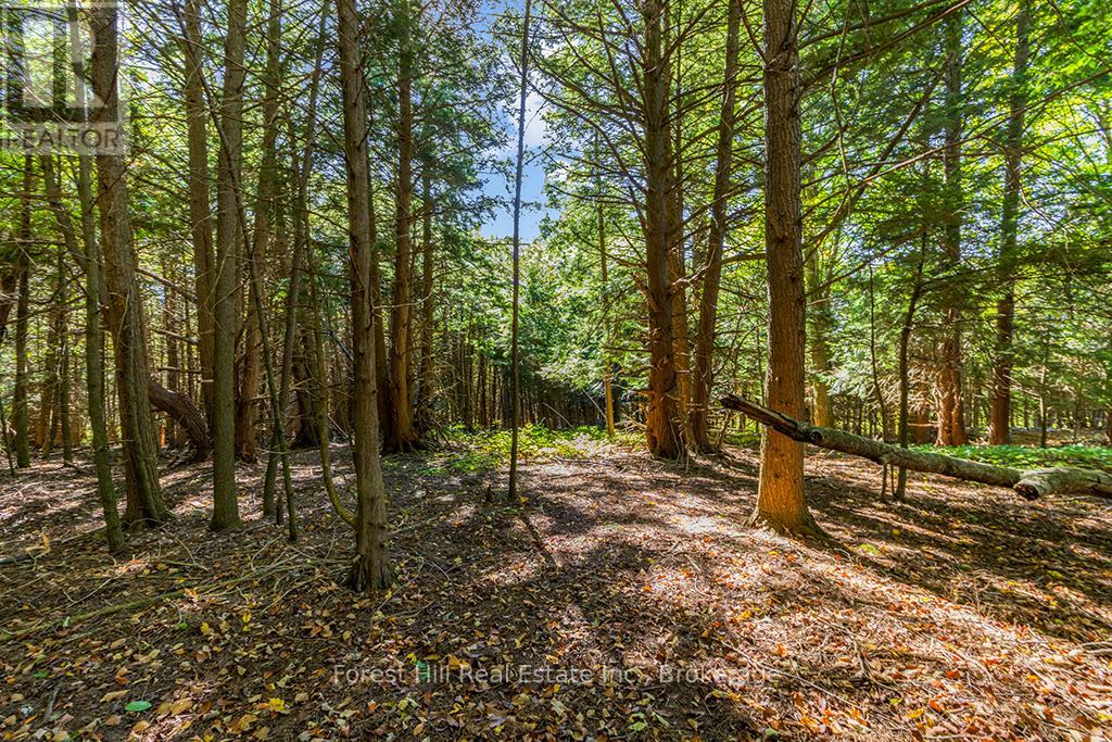 Ptlt3 2 Concession, Meaford, Ontario  N0H 1G0 - Photo 12 - X12965926