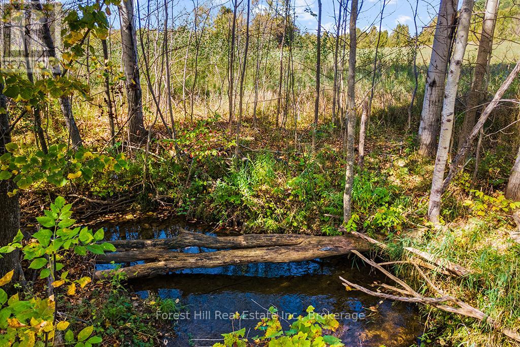 Ptlt3 2 Concession, Meaford, Ontario  N0H 1G0 - Photo 14 - X12965926