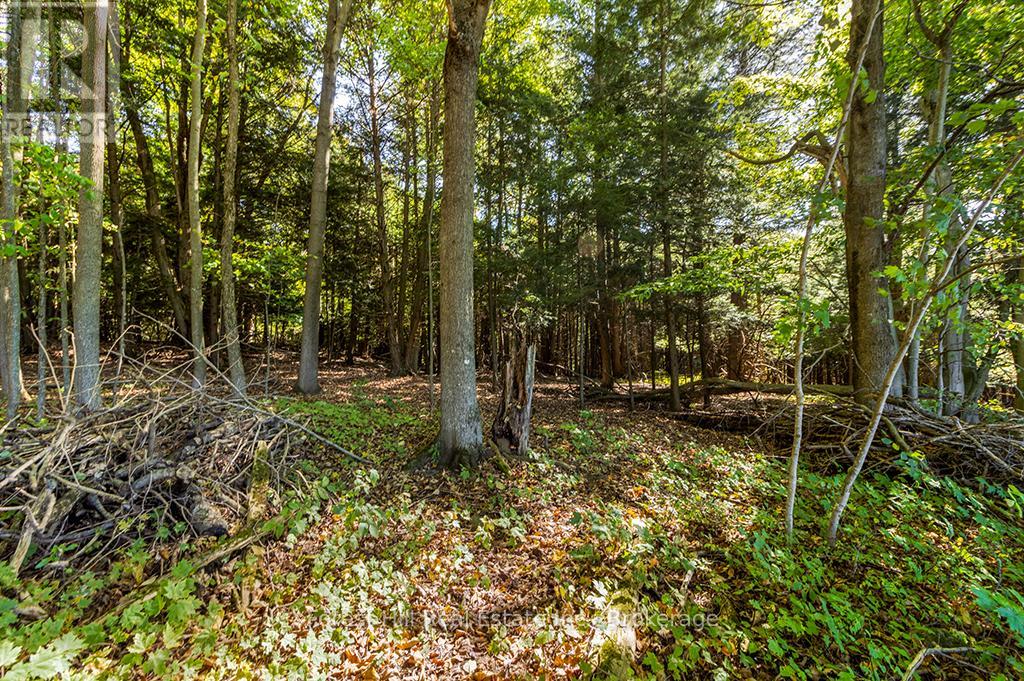 Ptlt3 2 Concession, Meaford, Ontario  N0H 1G0 - Photo 20 - X12965926