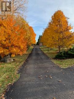 124b Old Troy Road, Tweed, Ontario  K0K 3J0 - Photo 43 - X12965646