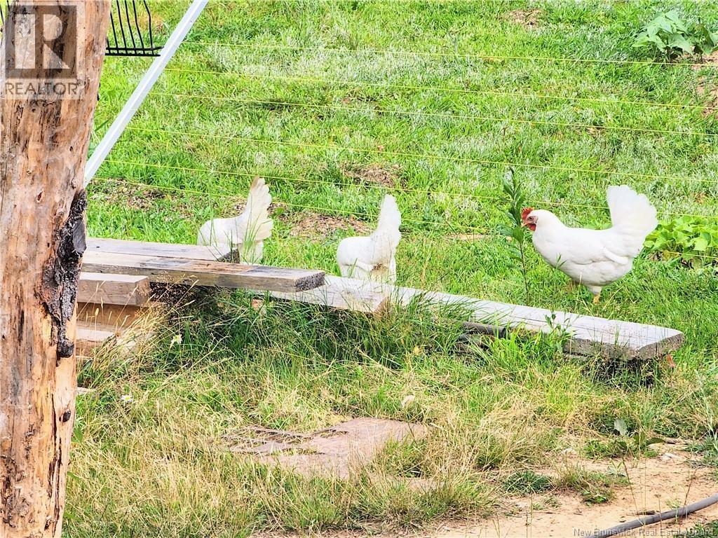 106 Babineau Road, Shediac Bridge, New Brunswick  E4R 3T8 - Photo 30 - NB136487