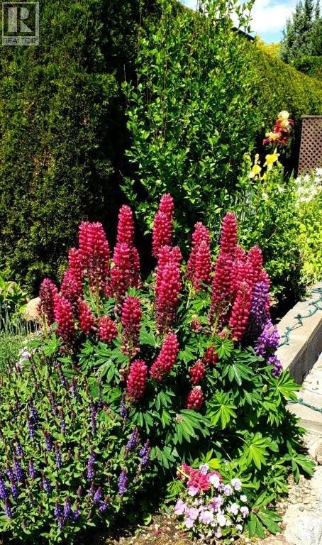 415 Commonwealth Road Unit# 301 Kelowna Photo 6 415 Commonwealth Road Unit# 301 Kelowna Photo 6