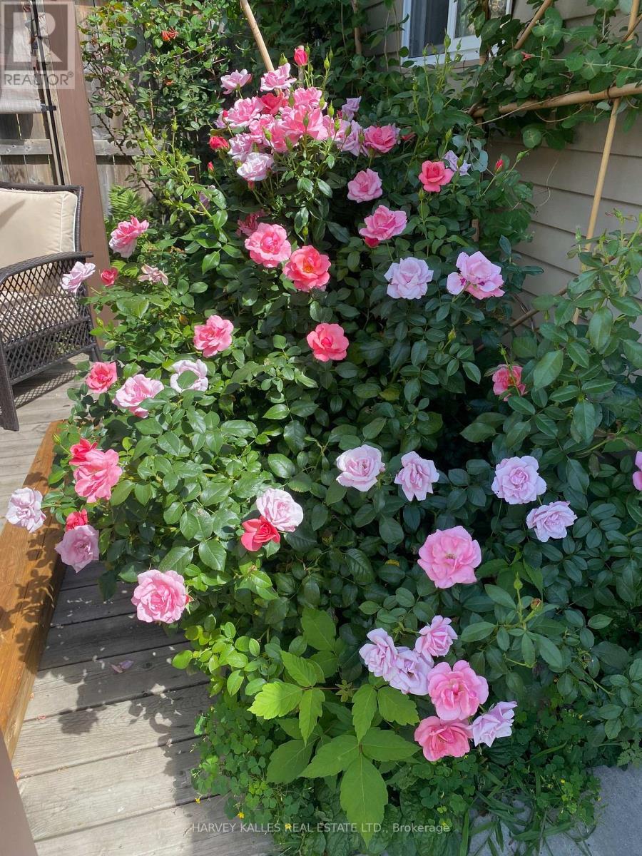 71 Dentonia Park Avenue, Toronto, Ontario  M4C 1X1 - Photo 34 - E12965640