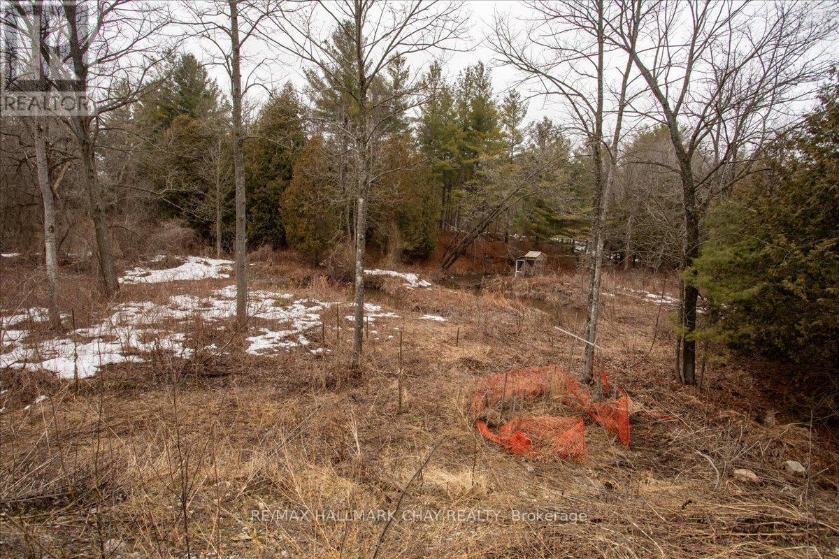 8240 Main Street, Adjala-Tosorontio, Ontario L0M 1M0 - Photo 11 - N12965728