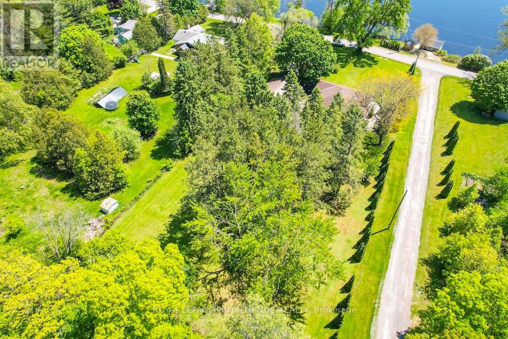 556 Rosebush Road, Quinte West, Ontario  K0K 2C0 - Photo 38 - X12716636