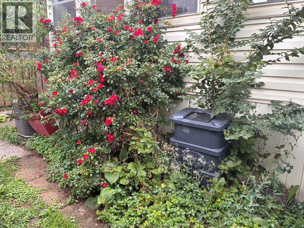 1232 Janette, Windsor, Ontario  N8X 1Y6 - Photo 26 - 26007175