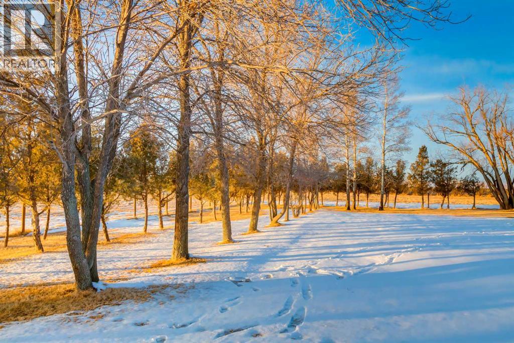 221083 Range Road 270, Rural Wheatland County, Alberta  T1P 2G5 - Photo 43 - A2272687