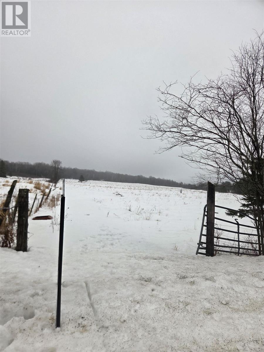 Lot 29 Braniff Rd, Plummer Additional, Ontario  P0R 1C0 - Photo 3 - SM260444