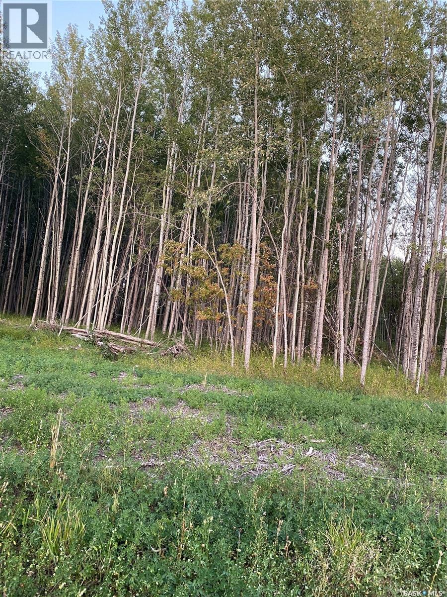 88 Acres Hudson Bay, Hudson Bay, Saskatchewan  S0E 0Y0 - Photo 18 - SK005905