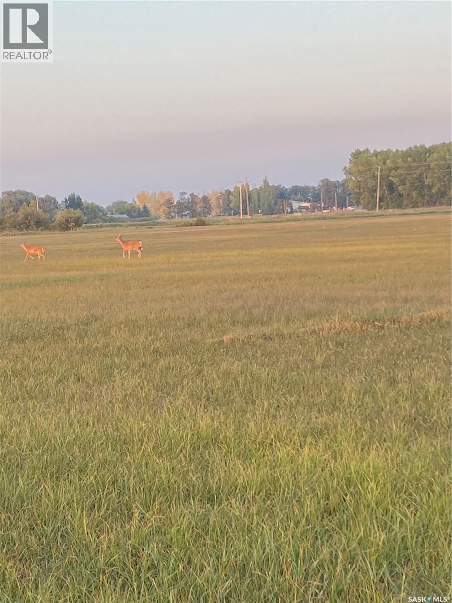 88 Acres Hudson Bay, Hudson Bay, Saskatchewan  S0E 0Y0 - Photo 17 - SK005905